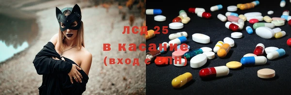 прущие грибы Козловка