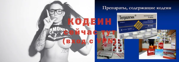 крисы Козельск