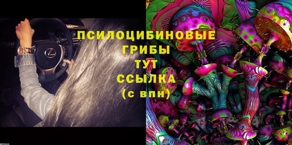 таблы Болотное