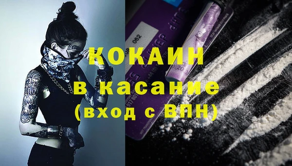 дмт Краснослободск