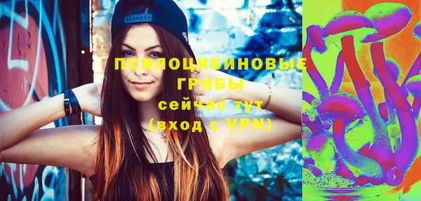 2c-b Костерёво