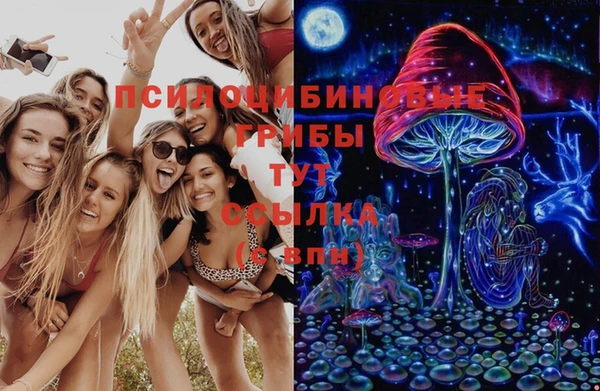2c-b Костерёво