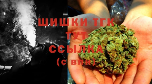 прущие грибы Козловка