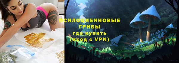 ГАЛЛЮЦИНОГЕННЫЕ ГРИБЫ Кукмор