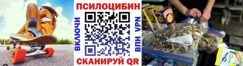 Псилоцибиновые грибы Cubensis  где продают наркотики  Ленинск-Кузнецкий 