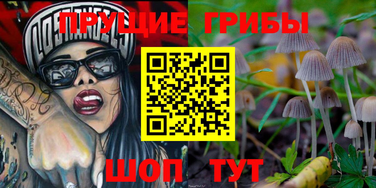Ленинск-Кузнецкий  Галлюциногенные грибы Psilocybe  Вход с VPN  где найти   Галлюциногенные грибы мухоморы 
