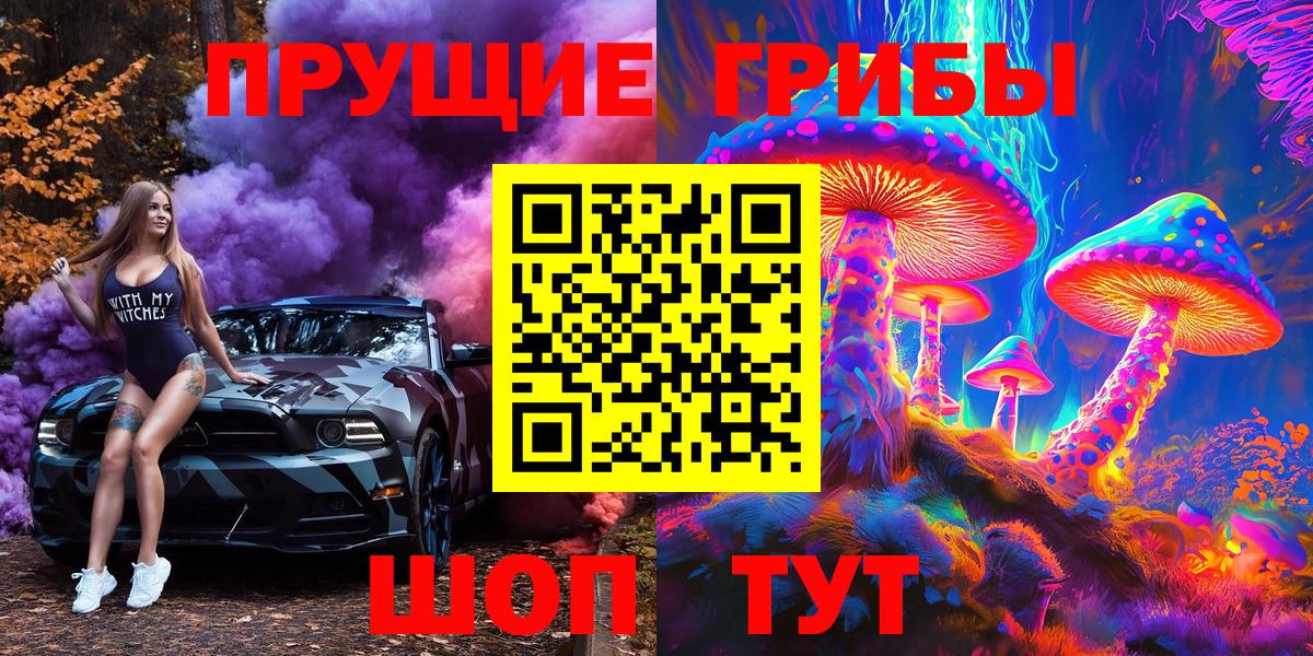 Псилоцибиновые грибы Cubensis Ленинск-Кузнецкий